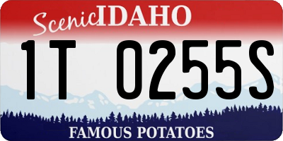 ID license plate 1T0255S