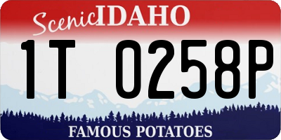 ID license plate 1T0258P