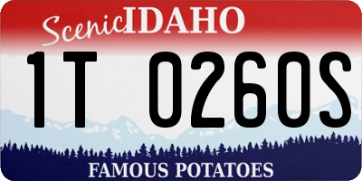 ID license plate 1T0260S