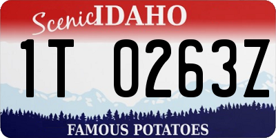 ID license plate 1T0263Z