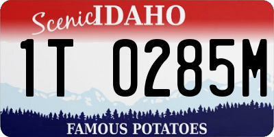 ID license plate 1T0285M