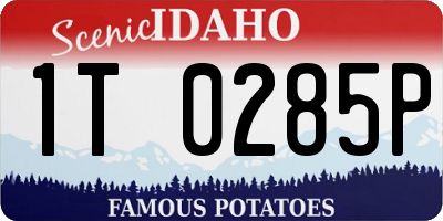 ID license plate 1T0285P