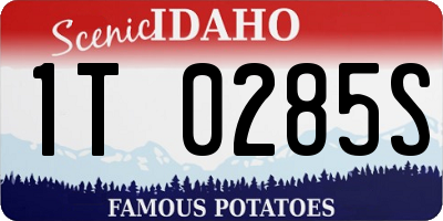 ID license plate 1T0285S