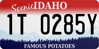 ID license plate 1T0285Y