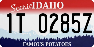 ID license plate 1T0285Z