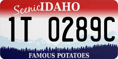 ID license plate 1T0289C