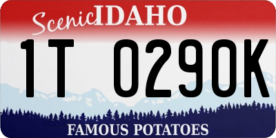 ID license plate 1T0290K