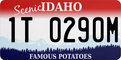 ID license plate 1T0290M