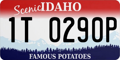 ID license plate 1T0290P