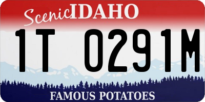 ID license plate 1T0291M