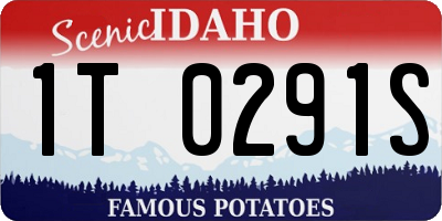 ID license plate 1T0291S