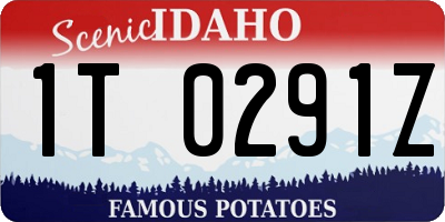 ID license plate 1T0291Z
