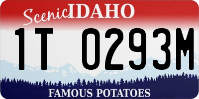ID license plate 1T0293M