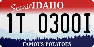ID license plate 1T0300I