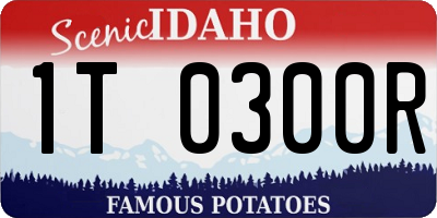 ID license plate 1T0300R