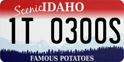 ID license plate 1T0300S