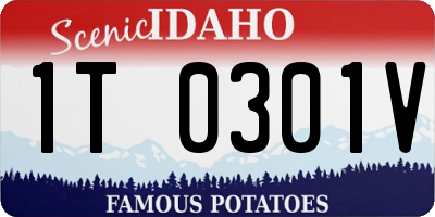 ID license plate 1T0301V