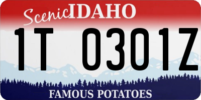 ID license plate 1T0301Z