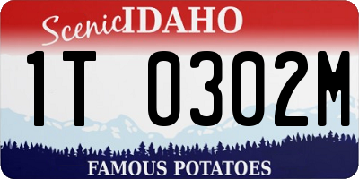 ID license plate 1T0302M
