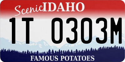ID license plate 1T0303M