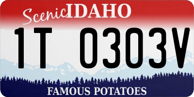 ID license plate 1T0303V