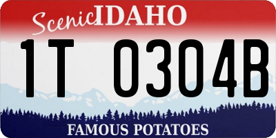 ID license plate 1T0304B