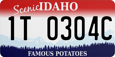 ID license plate 1T0304C