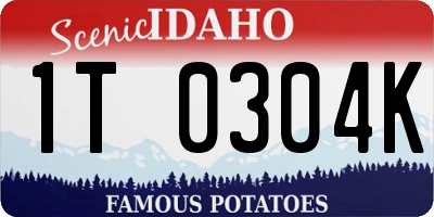 ID license plate 1T0304K