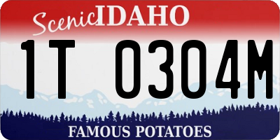 ID license plate 1T0304M
