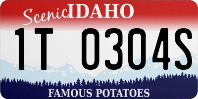 ID license plate 1T0304S