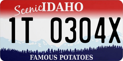 ID license plate 1T0304X