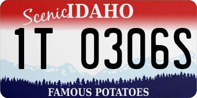 ID license plate 1T0306S
