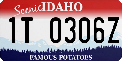 ID license plate 1T0306Z