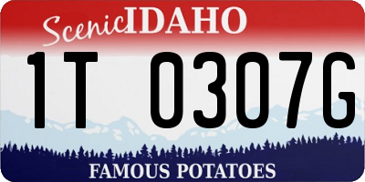 ID license plate 1T0307G