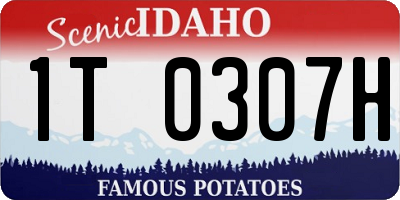 ID license plate 1T0307H