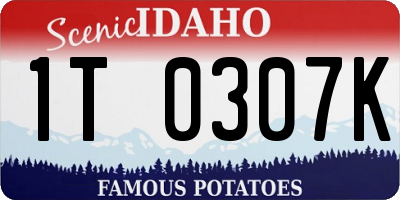 ID license plate 1T0307K