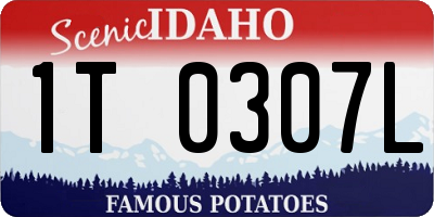 ID license plate 1T0307L