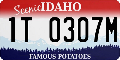 ID license plate 1T0307M