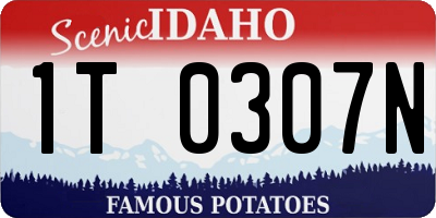 ID license plate 1T0307N