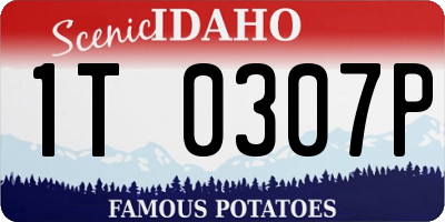 ID license plate 1T0307P