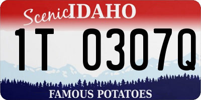 ID license plate 1T0307Q