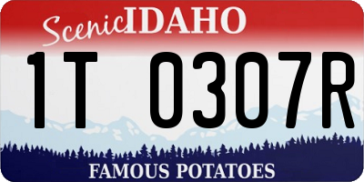 ID license plate 1T0307R