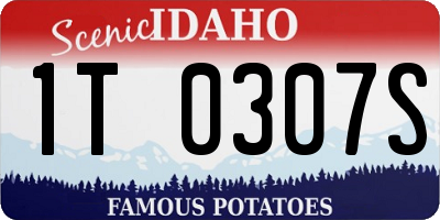 ID license plate 1T0307S