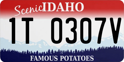 ID license plate 1T0307V