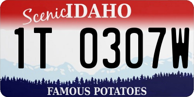 ID license plate 1T0307W