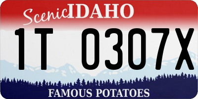 ID license plate 1T0307X