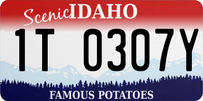 ID license plate 1T0307Y