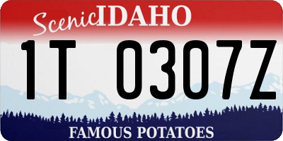 ID license plate 1T0307Z