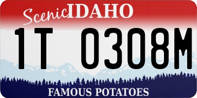 ID license plate 1T0308M