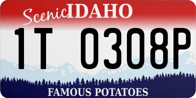 ID license plate 1T0308P